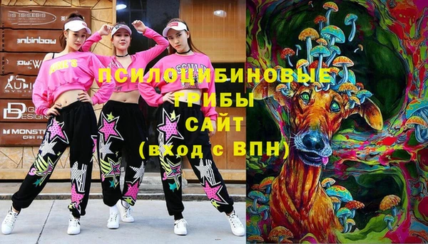 бутират Козловка