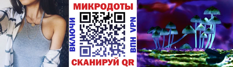Псилоцибиновые грибы Cubensis Беслан